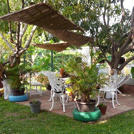 Real Del Ambar Hotel Tuxtla Gutierrez Exterior photo